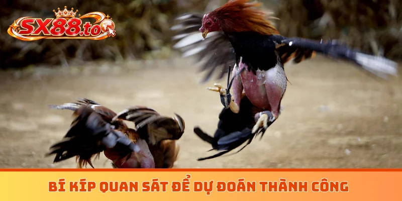 Bí kíp quan sát để dự đoán thành công