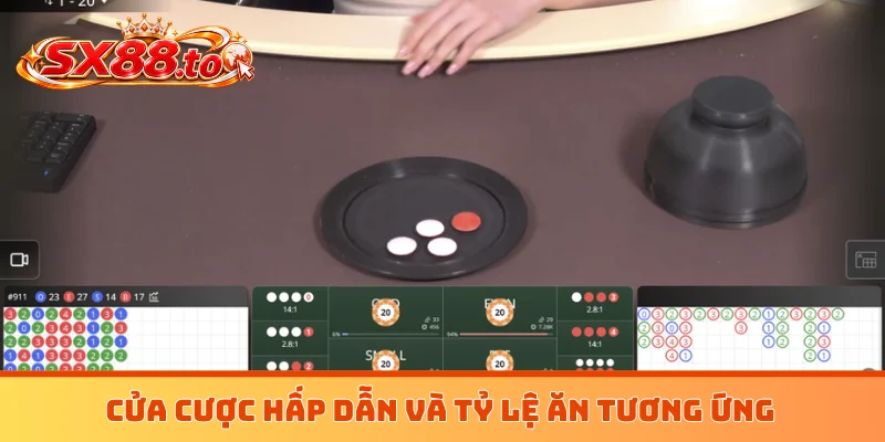 Cửa cược hấp dẫn và tỷ lệ ăn tương ứng