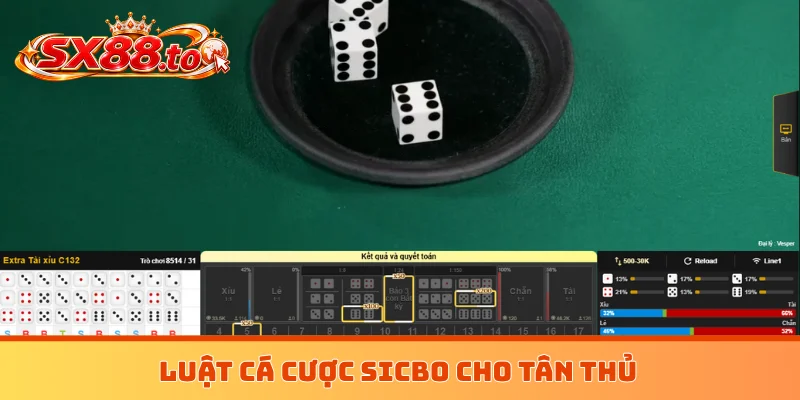 Luật cá cược sicbo cho tân thủ