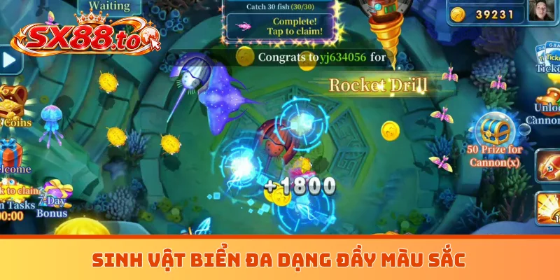 Sinh vật biển đa dạng đầy màu sắc