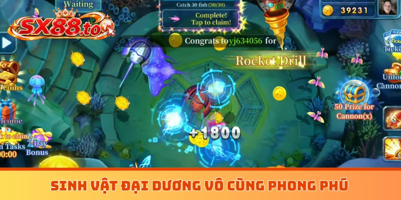 Sinh vật đại dương vô cùng phong phú