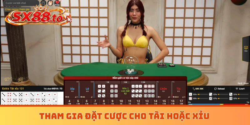 Tham gia đặt cược cho tài hoặc xỉu