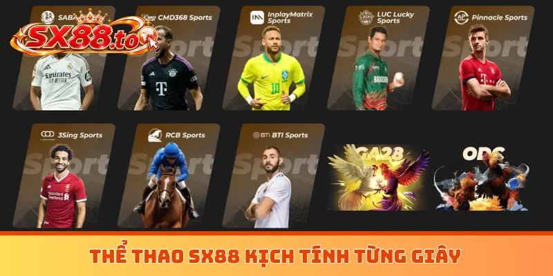 Thể thao SX88 kịch tính từng giây