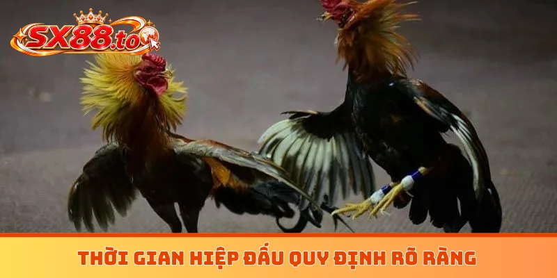 Thời gian hiệp đấu quy định rõ ràng